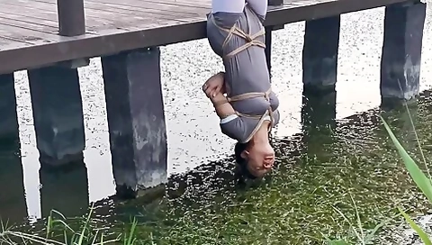 Bridge Predicament 2